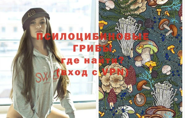 дживик Магадан
