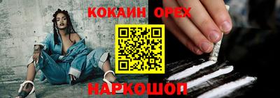 стаф Дубна