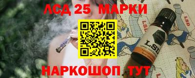 молекула духа Камышлов