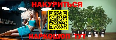 a pvp Берёзовский