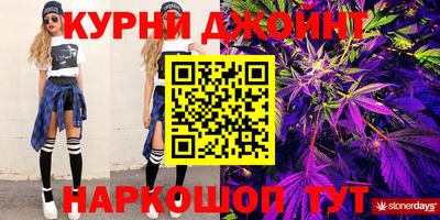 стаф Дубна