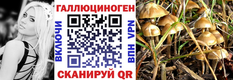 Галлюциногенные грибы мухоморы  Кострома 