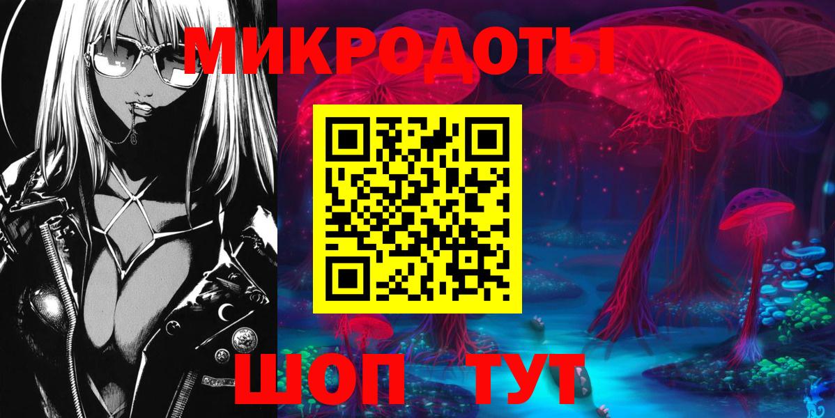 Псилоцибиновые грибы мицелий Кострома