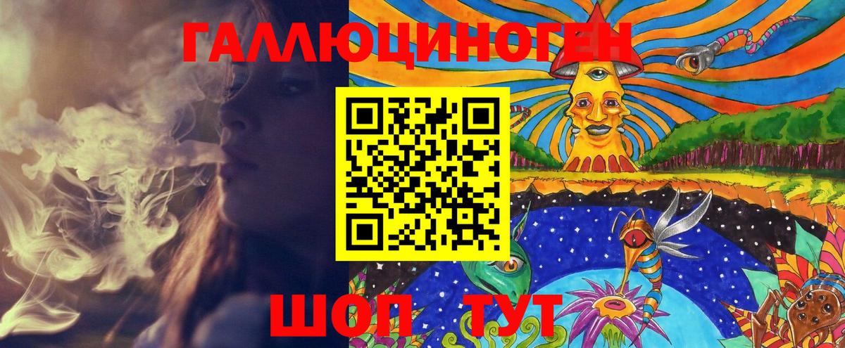 Галлюциногенные грибы прущие грибы  закладка  Кострома  Псилоцибиновые грибы Cubensis 