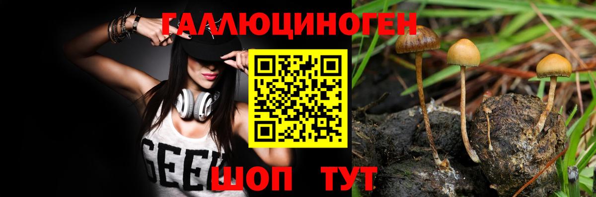 Кострома  Псилоцибиновые грибы Psilocybe  купить наркоту  Вход с VPN 